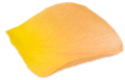 YAIZA RUIZ ESTÉTICA